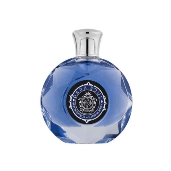 عطر و ادکلن لوئیس آلاویا دارک سول مردانه 100 میلی‌لیتر